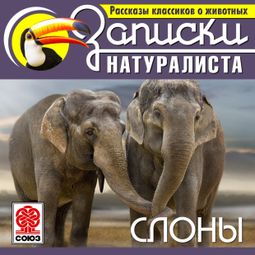 Слушать аудиокнигу онлайн «Рассказы классиков о животных. Слоны – Коллектив авторов»