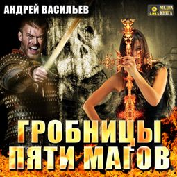 Слушать аудиокнигу онлайн «Гробницы пяти магов – Андрей Васильев»
