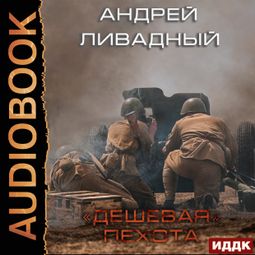Слушать аудиокнигу онлайн «Дешевая пехота – Андрей Ливадный»
