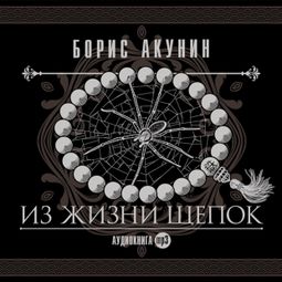 Слушать аудиокнигу онлайн «Из жизни Щепок – Борис Акунин»