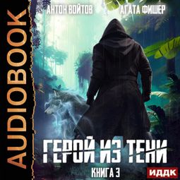 Слушать аудиокнигу онлайн «Герой из тени. Книга 3»