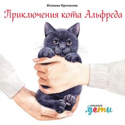 Слушать аудиокнигу онлайн «Приключения кота Альфреда – Юлиана Протасова»