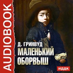 Слушать аудиокнигу онлайн «Маленький оборвыш – Джеймс Гринвуд»