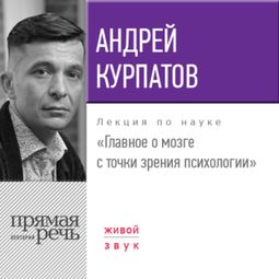 Слушать аудиокнигу онлайн «Главное о мозге с точки зрения психологии – Андрей Курпатов»