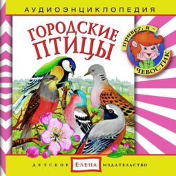 Слушать аудиокнигу онлайн «Городские птицы – Наталья Манушкина, Елена Качур»