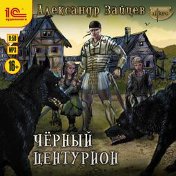 Слушать аудиокнигу онлайн «Чёрный центурион – Александр Зайцев»