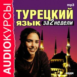 Слушать аудиокнигу онлайн «Турецкий язык за 2 недели»