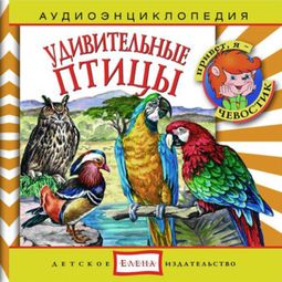 Слушать аудиокнигу онлайн «Удивительные птицы – Анна Русс, Елена Качур»