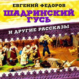 Слушать аудиокнигу онлайн «Шадринский гусь и другие рассказы – Евгений Федоров»