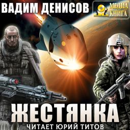 Слушать аудиокнигу онлайн «Жестянка – Вадим Денисов»