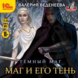 Слушать аудиокнигу онлайн «Маг и его тень – Валерия Веденеева»