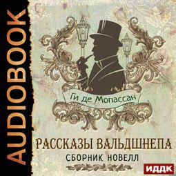 Слушать аудиокнигу онлайн «Рассказы вальдшнепа. Сборник новелл – Ги де Мопассан»