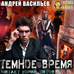 Слушать аудиокнигу онлайн «Темное время – Андрей Васильев»