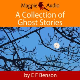 Das Buch “A Collection of Ghost Stories (Unabridged) – E. F. Benson” online hören