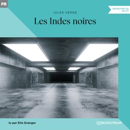 Das Buch “Les Indes noires – Jules Verne” online hören