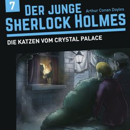 Das Buch “Der junge Sherlock Holmes, Folge 7: Die Katzen vom Crystal Palace – Florian Fickel, David Bredel” online hören