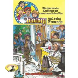 Das Buch “Tommy und seine Freunde, Folge 9: Der nächtliche Überfall – Anke Beckert” online hören