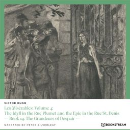 Das Buch “Les Misérables: Volume 4: The Idyll in the Rue Plumet and the Epic in the Rue St. Denis - Book 14: The Grandeurs of Despair (Unabridged) – Victor Hugo” online hören
