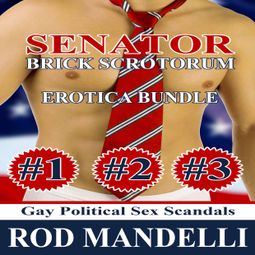 Das Buch “Senator Brick Scrotorum Erotica Bundle (Unabridged) – Rod Mandelli” online hören