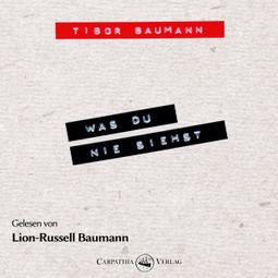 Das Buch “Was du nie siehst - Ein biografischer Roman mit und über Hansi Mühlbauer (Ungekürzt) – Tibor Baumann” online hören