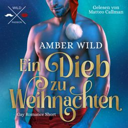 Das Buch “Ein Dieb zu Weihnachten - Gay Romance Short, Band 1 (ungekürzt) – Amber Wild” online hören