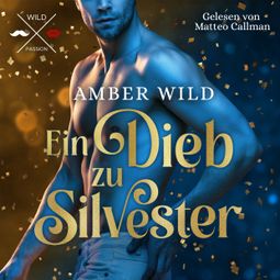 Das Buch “Ein Dieb zu Silvester - Humorvolle Gay Romance zu Weihnachten (ungekürzt) – Amber Wild” online hören