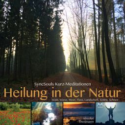 Das Buch “Heilung in der Natur - SyncSouls Kurzmeditationen: Wald, Wiese, Meer, Fluss, Landschaft, Sonne, Schnee – Franziska Diesmann, Torsten Abrolat” online hören