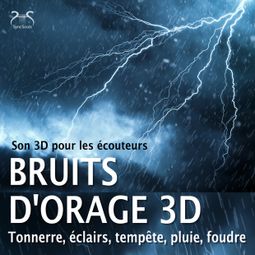 Das Buch “Bruits d'orage 3D, tonnerre, éclairs, tempête, pluie, foudre - Son 3D pour les écouteurs – Torsten Abrolat, Faiseur de Pluie” online hören