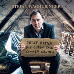 Das Buch “Stefan Waghubinger, Jetzt hätten die guten Tage kommen können – Stefan Waghubinger” online hören