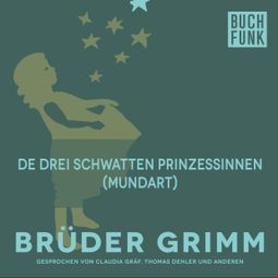 Das Buch “De drei schwatten Prinzessinnen (Mundart) – Brüder Grimm” online hören