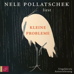 Das Buch “Kleine Probleme (Ungekürzt) – Nele Pollatschek” online hören