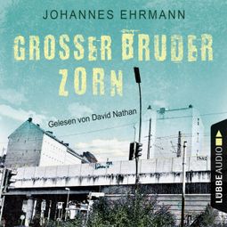 Das Buch “Großer Bruder Zorn (Ungekürzt) – Johannes Ehrmann” online hören