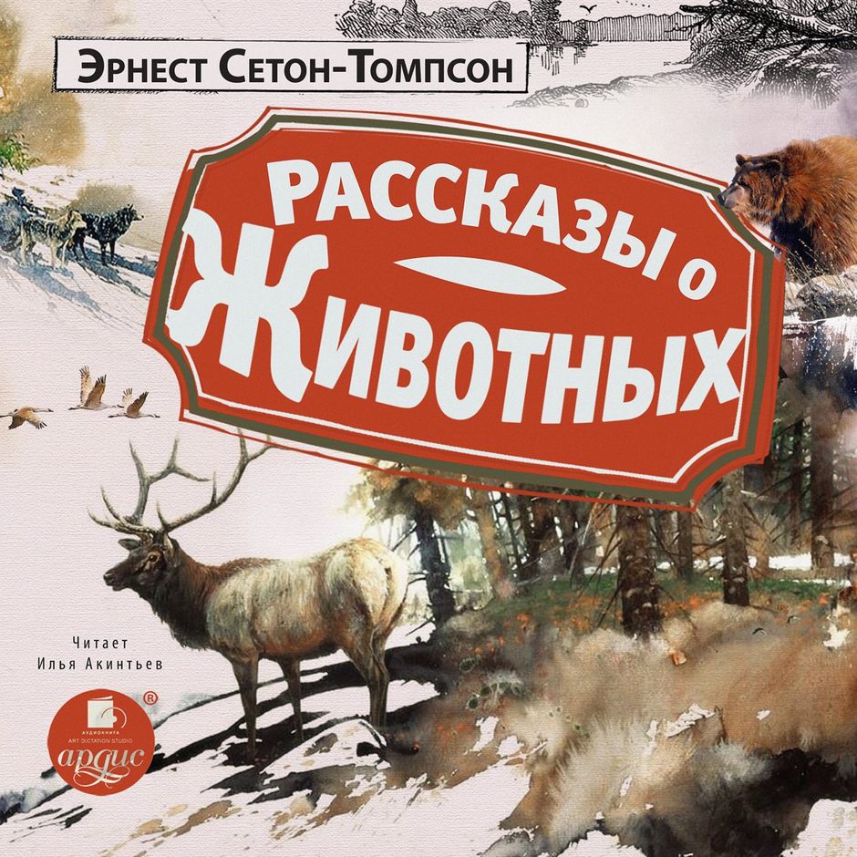 Аудио Рассказы