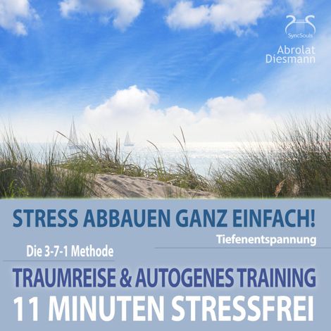 Hörbüch “11 Minuten Stressfrei - Stress abbauen ganz einfach! Traumreise & Autogenes Training – Franziska Diesmann, Torsten Abrolat”