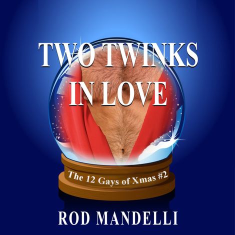 Hörbüch “Two Twinks In Love - 12 Gays of Xmas, book 2 (Unabridged) – Rod Mandelli”
