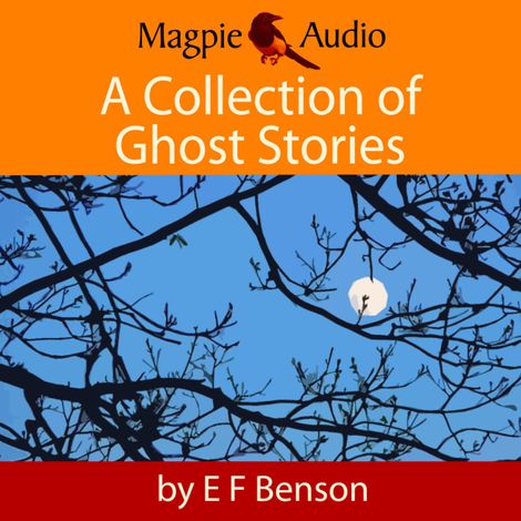 Hörbüch “A Collection of Ghost Stories (Unabridged) – E. F. Benson”