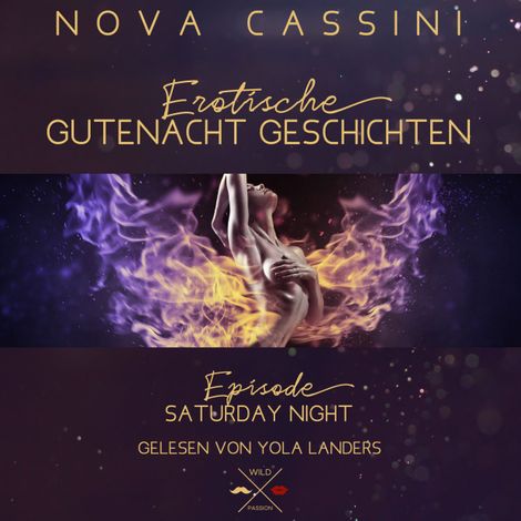 Hörbüch “Saturday Night - Erotische Gutenacht Geschichten, Band 6 (ungekürzt) – Nova Cassini”