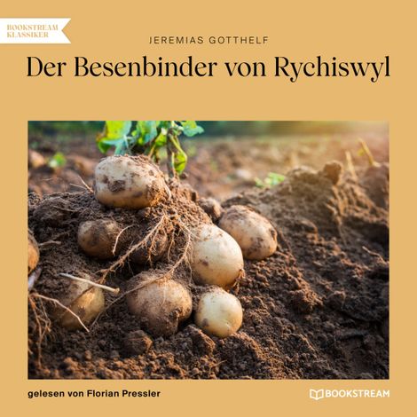 Hörbüch “Der Besenbinder von Rychiswyl (Ungekürzt) – Jeremias Gotthelf”