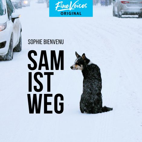 Hörbüch “Sam ist weg (Ungekürzt) – Sophie Bienvenu”