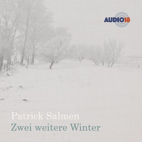 Hörbüch “Zwei weitere Winter (Gekürzt) – Patrick Salmen”