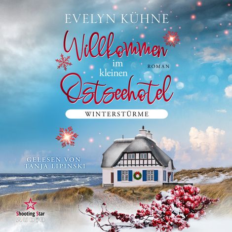 Hörbüch “Winterstürme - Willkommen im kleinen Ostseehotel, Band 1 (ungekürzt) – Evelyn Kühne”