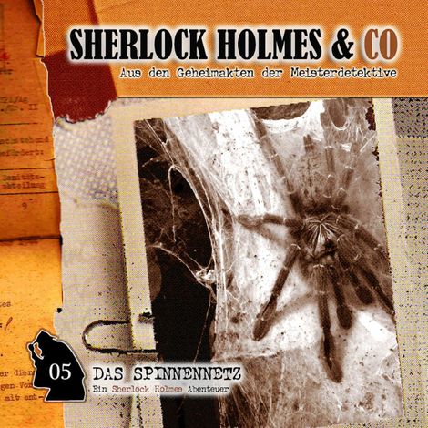 Hörbüch “Sherlock Holmes & Co, Folge 5: Das Spinnennetz – Markus Winter”