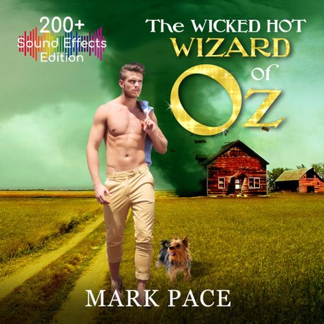 Hörbüch “The Wicked Hot Wizard of Oz - Sound Effects Special Edition (Unabridged) – Mark Pace”