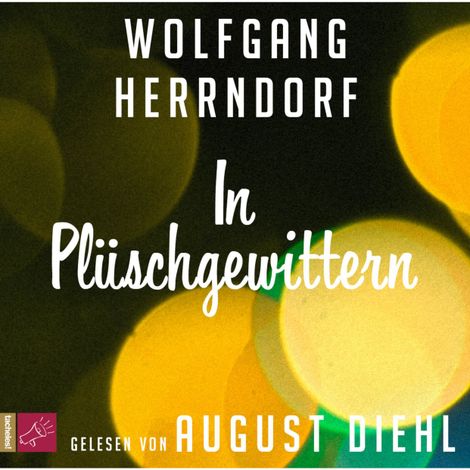 Hörbüch “In Plüschgewittern – Wolfgang Herrndorf”