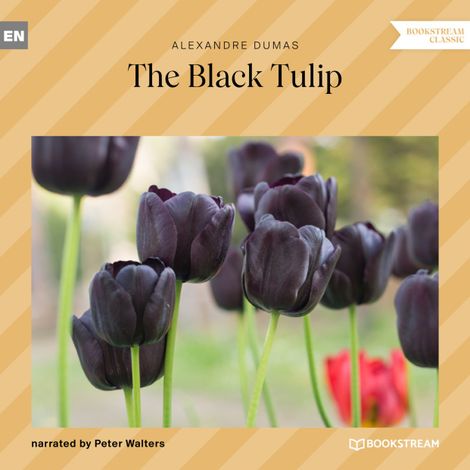 Hörbüch “The Black Tulip (Unabridged) – Alexandre Dumas”