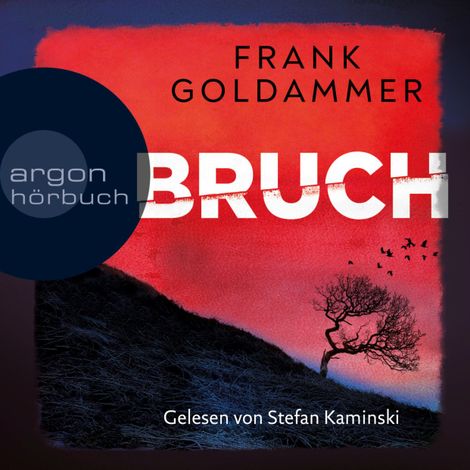 Hörbüch “Bruch - Ein dunkler Ort - Felix Bruch, Band 1 (Ungekürzte Lesung) – Frank Goldammer”