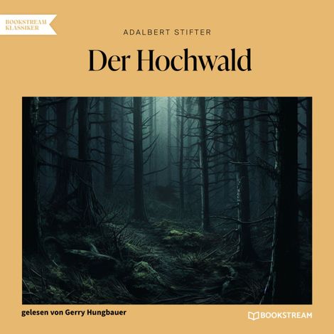 Hörbüch “Der Hochwald (Ungekürzt) – Adalbert Stifter”