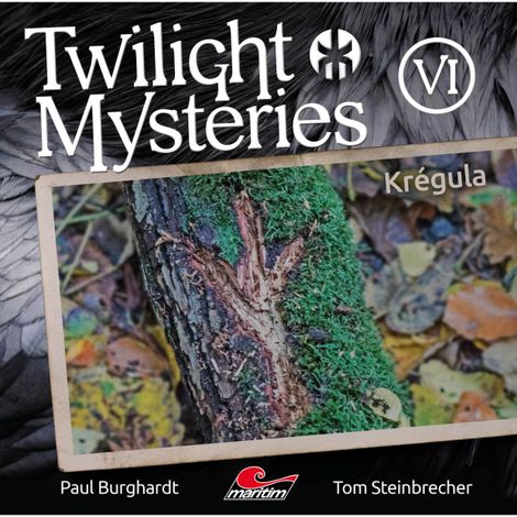 Hörbüch “Twilight Mysteries, Die neuen Folgen, Folge 6: Krégula – Erik Albrodt, Paul Burghardt, Tom Steinbrecher”