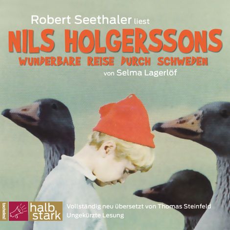 Hörbüch “Nils Holgerssons wunderbare Reise durch Schweden (Ungekürzt) – Selma Lagerlöf”