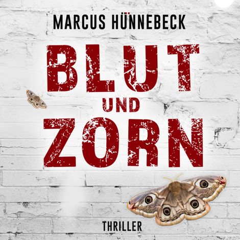 Hörbüch “Blut und Zorn - Drosten und Sommer, Band 3 (ungekürzt) – Marcus Hünnebeck”